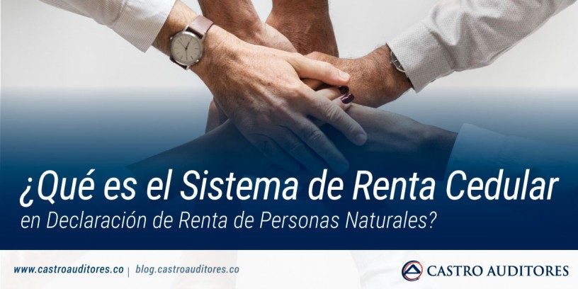 ¿Qué es el Sistema de Renta Cedular en Declaración de Renta de Personas Naturales? | Blog de Castro Auditores
