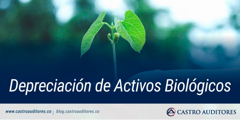 Depreciación de Activos Biológicos | Blog de Castro Auditores
