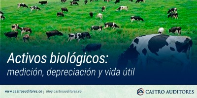 Activos biológicos: medición, depreciación y vida útil | Blog de Castro Auditores
