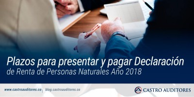 Plazos para presentar y pagar Declaración de Renta de Personas Naturales Año 2018 | Blog de Castro Auditores